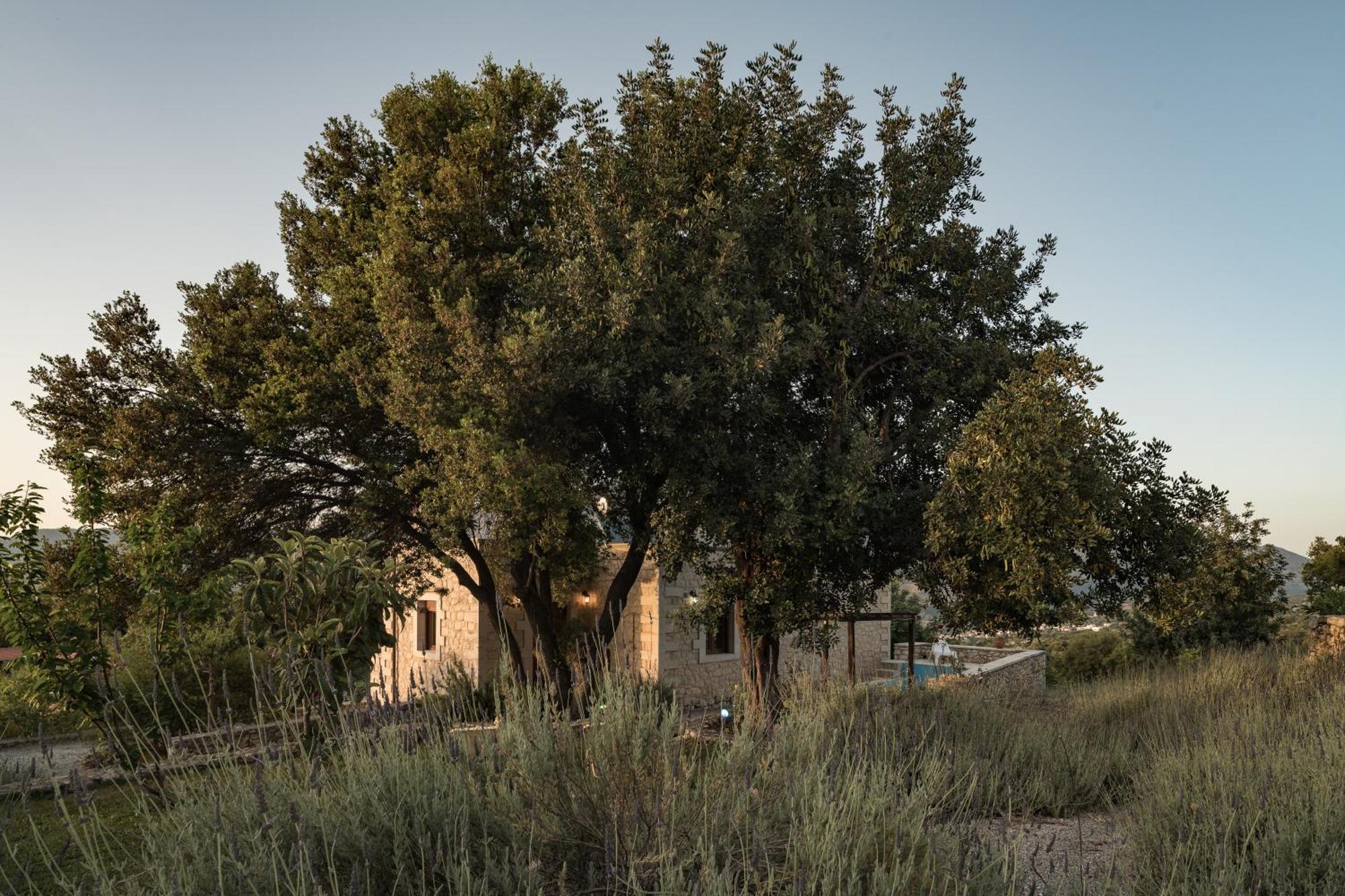 Koules Estate, With Private Pools & Bbq - Embracing Nature, By Thinkvilla Argouli Zimmer foto